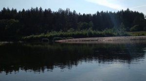 Река Медведица в Тверской области