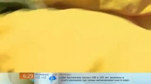 Средство для мытья посуды без химии