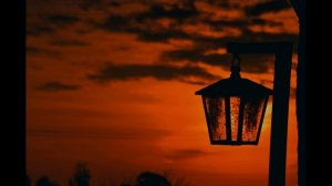 Звуки Сверчков Цикад. Sounds of Crickets Cicadas.