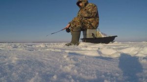 За судаком и щукой, последняя рыбалка в уходящем году.