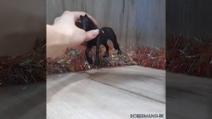 Новинки #3 | НОВОГОДНЯЯ РАСПАКОВКА 🎄❄️☃️ фигурок собак и лошадей // Schleich, Derry animals, Konik