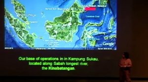 Orangutan Conservation Research in Malaysia