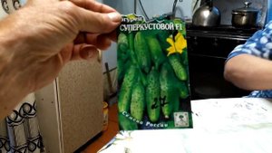 Как растить РАССАДУ огурцрв в пелёнках.!