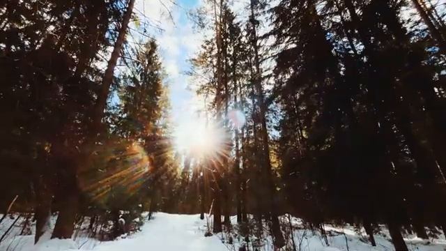 Зрительный вектор (системно-векторная психология). Стихи и озвучка мои. смотреть онлайн