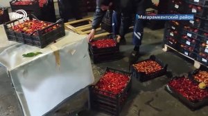 Запрещено к ввозу на территорию страны более 562 тонн  продукции