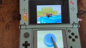 Nintendo DS Girl's Games Were Dark!--  Exploring Petz Hamsterz Superstarz