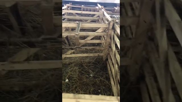 ПРАВИЛЬНОЕ Устройство овчарни полностью, с размерами и описанием! ФЕРМА ГОЛДЕН ЛАМБ смотреть онлайн