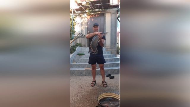 Папа года 2023. Мороз Р.В. смотреть онлайн