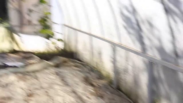 4 Октября прогулка по територии смотреть онлайн