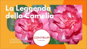 La leggenda della Camelia. Легенда о камелии 🌸