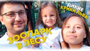 Зоопарк в лесу | Дикие звуки льва | Впервые увидели кенгуру
