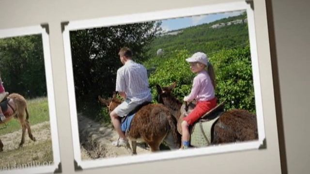 Ферма Чудо-Осликов. смотреть онлайн