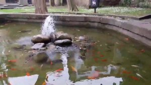 Zarautz  Страна Басков