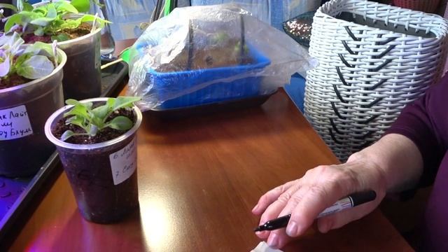 Что я делаю с обрезками ротанга которые остаются после плетения кашпо