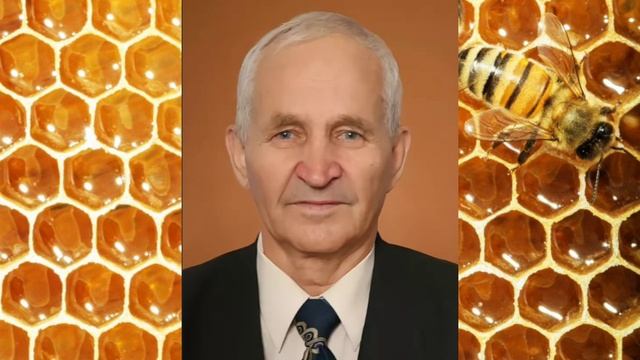 Трутень в пчелиной семье. Роль трутня в жизни пчёл. В.Г. Кашковский смотреть онлайн