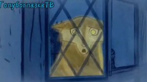 Клип Легенда о волках 🐺