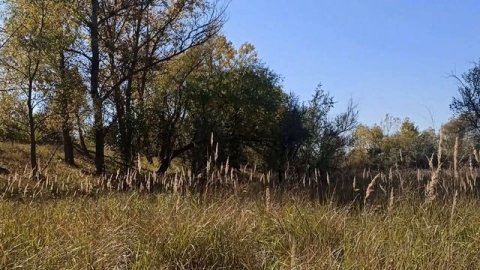 7 снов, которые снятся к счастью и благополучию.