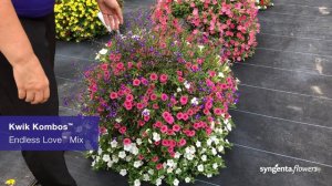 Kwik Kombos Combinations | Lucas Greenhouses Summer Trial