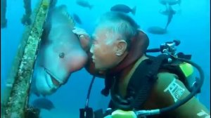 #Рыба с человеческим лицом!!! #Fish whit human face