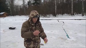 До запуска пассив, после - актив плюс пассив. Клёвое место, Лосиный остров, верхний водоём.