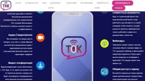 Обзор ICO TOK App (TOK )