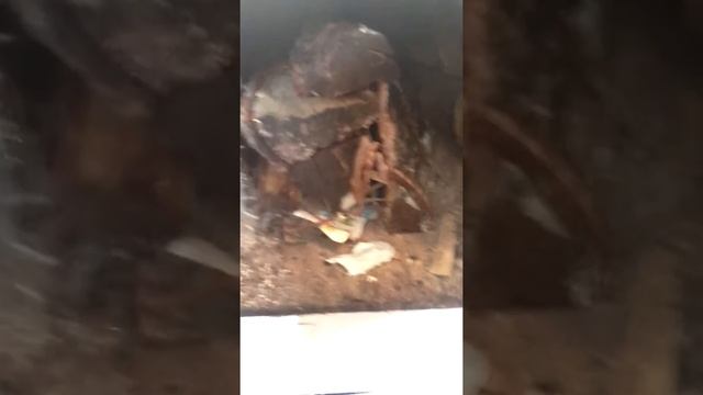 Как разжечь печь в деревне смотреть онлайн