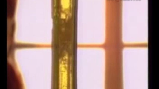 Марафон 15