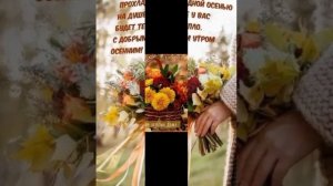Листья жёлтые над городом кружатся!