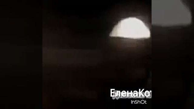 Кот и Мура "СОТРИ" смотреть онлайн