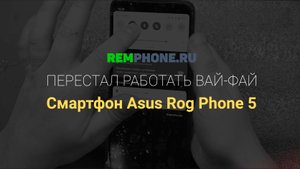 Asus Rog Phone 5. Не работает WI-FI