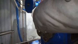 сменные шестерни ТВ 4