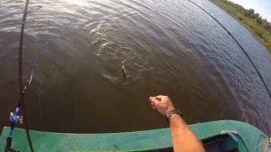 Рыболовная База Судачье место 2018 год