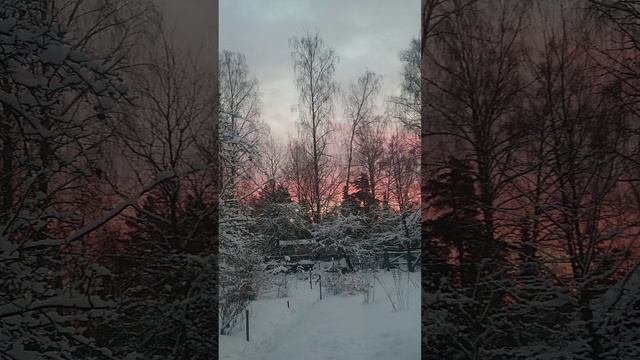 Зимний рассвет