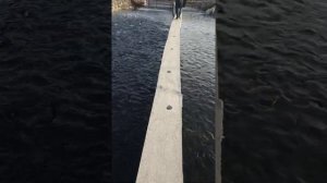 Выращивание форели в Осетии)))
