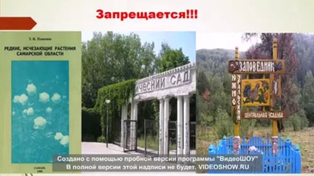 Ролик Волощук Екатерина смотреть онлайн