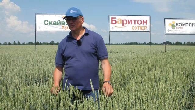 Озимая пшеница: технология возделывания и защиты. Дни Поля - 2020. смотреть онлайн