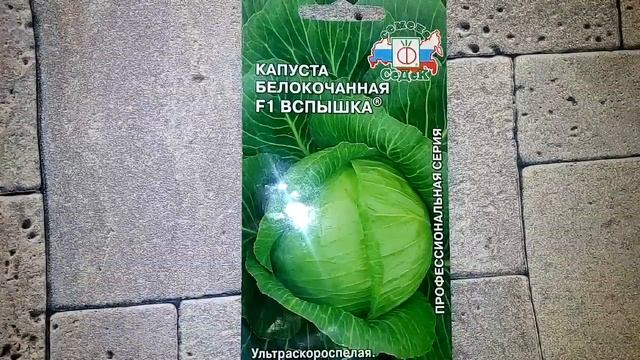 Капуста белокочанная F1 Вспышка - ознакомление