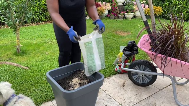 Garden with Me  Creating Fall Containers with Flowers from the Backyard   The Swiss Garden
