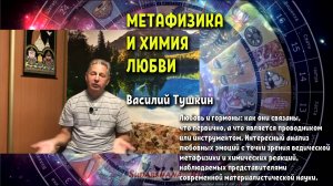 Метафизика и Химия Любви - Василий Тушкин