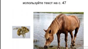 24.10.2020. Основы светской этики. 4 класс. Туделева С.В.