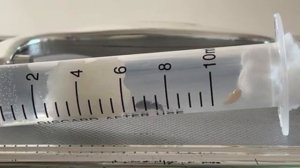 Поймал матку муравьев!!! Как растить колонию с нуля