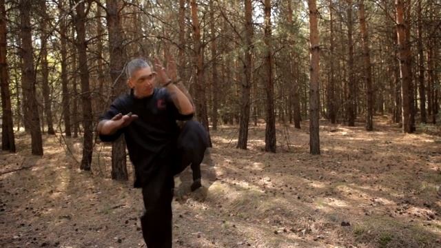 Сдвоенный удар ногой - прямой и в сторону смотреть онлайн