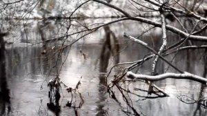 Раниль Нуриев. Ашыгулар ялгышуга була. И.Хисматуллин муз.,Н.Измайлова сузл.