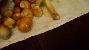 Цезарский гриб дома-Amanita caesarea at home