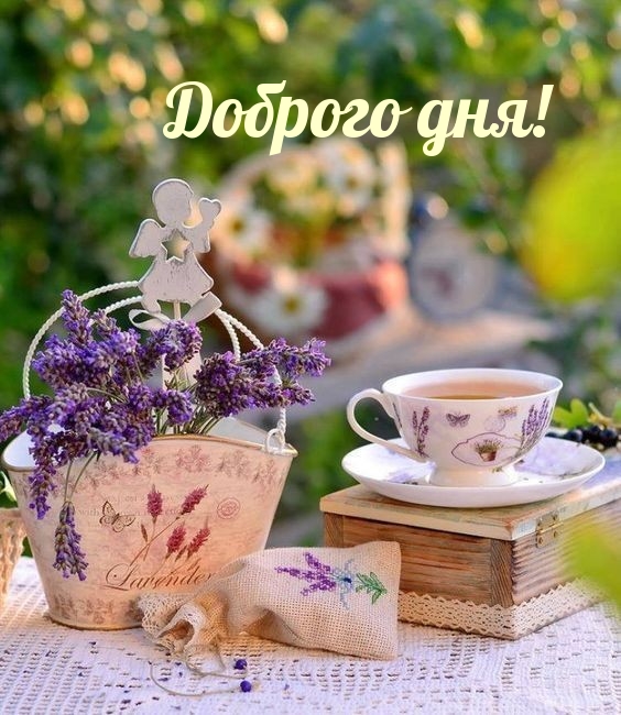 Пожелание Доброго Дня ?Чудесного Настроения смотреть онлайн