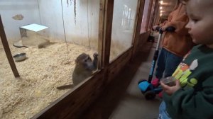 ЗООФЕРМА ШИХОВО. КОНТАКТНЫЙ ЗООПАРК. СЕМЕЙНЫЙ ВЛОГ.