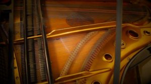 A. Vivaldi - The Four Seasons - Presto (Storm) from Summer - Piano