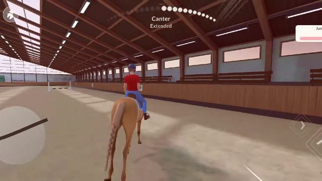 покупаю две лошади в Equestrian the game ? обзор на лошадей смотреть онлайн