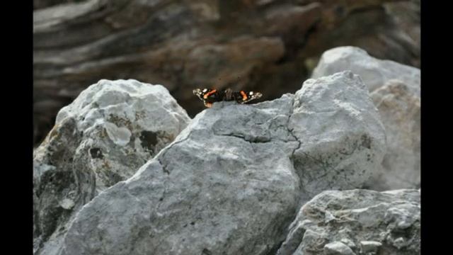 Крым. Мыс Сарыч смотреть онлайн