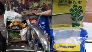 Посев высокорослых томатов для теплицы. 25 февраля 2021 года.